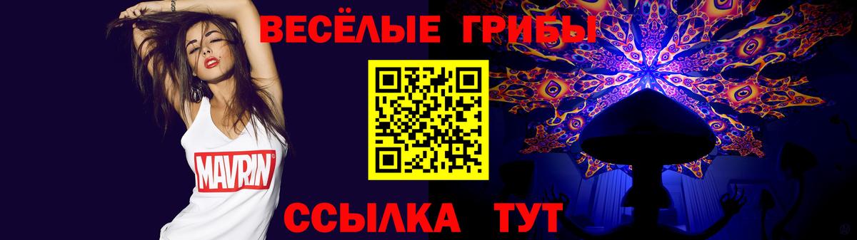 Псилоцибиновые грибы мухоморы  Галлюциногенные грибы Cubensis  Вход с VPN  как найти закладки  Заречный 